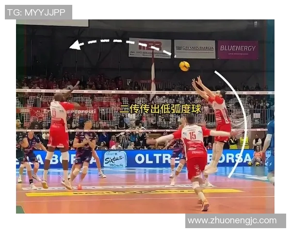 从零开始掌握排球技巧与战术全解析助你成为排球高手