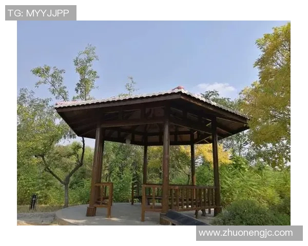 小白究竟是哪个足球明星他的传奇故事与成就揭秘