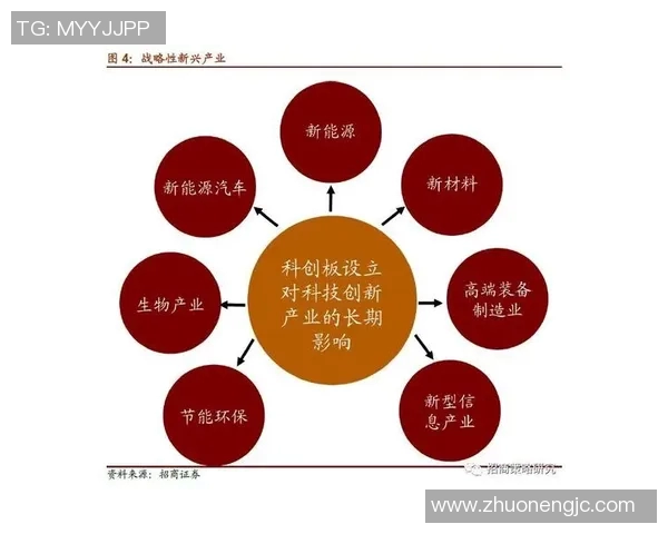 杭州排球队创新阵地战策略助力竞技水平提升与团队协作发展